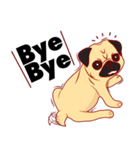 little dog pug Cartoon（個別スタンプ：37）