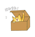 わんぱく むぎちゃん（個別スタンプ：12）