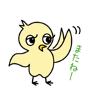 ツンデレぴよ子（個別スタンプ：10）