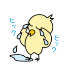 ツンデレぴよ子（個別スタンプ：12）