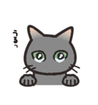 グレぬこ 2（個別スタンプ：5）