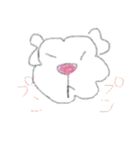 マルチーズのぼーちゃん（個別スタンプ：12）