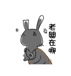 Dark Rabbit（個別スタンプ：32）