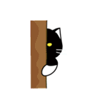 ちょっとふてぶてしいパンダみたいな猫（個別スタンプ：11）