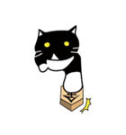 ちょっとふてぶてしいパンダみたいな猫（個別スタンプ：21）