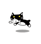 ちょっとふてぶてしいパンダみたいな猫（個別スタンプ：38）