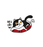 PANDA_500（個別スタンプ：15）