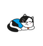 PANDA_500（個別スタンプ：16）