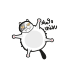 PANDA_500（個別スタンプ：18）