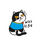 PANDA_500（個別スタンプ：31）