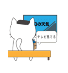 風呂ねこ（個別スタンプ：19）