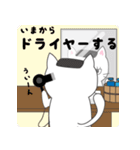 風呂ねこ（個別スタンプ：37）