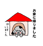 忠犬グリの日常スタンプ（個別スタンプ：24）