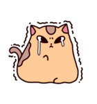 ふにふにカラフル ふ～にゃ（個別スタンプ：19）