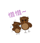 Momo  Owl（個別スタンプ：40）