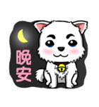 There are only little white dog（個別スタンプ：1）