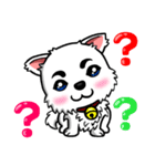 There are only little white dog（個別スタンプ：5）