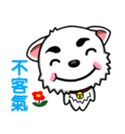 There are only little white dog（個別スタンプ：26）