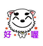 There are only little white dog（個別スタンプ：39）