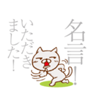 猫屋江戸壱②【褒め倒す40種】（個別スタンプ：16）