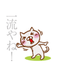 猫屋江戸壱②【褒め倒す40種】（個別スタンプ：18）