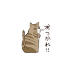 あいさつねこ（個別スタンプ：4）