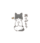 あいさつねこ（個別スタンプ：5）