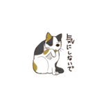 あいさつねこ（個別スタンプ：10）