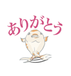 ほぼほぼ使えるウサギの日常スタンプ（個別スタンプ：7）