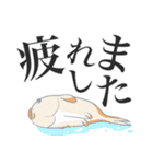 ほぼほぼ使えるウサギの日常スタンプ（個別スタンプ：9）