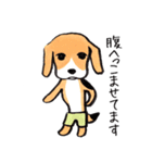パンツ犬（個別スタンプ：1）