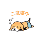 パンツ犬（個別スタンプ：4）