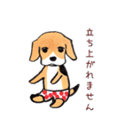 パンツ犬（個別スタンプ：5）