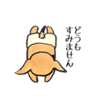 パンツ犬（個別スタンプ：7）