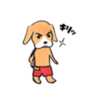 パンツ犬（個別スタンプ：9）