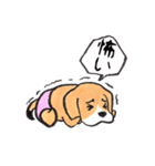 パンツ犬（個別スタンプ：10）