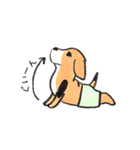 パンツ犬（個別スタンプ：11）