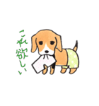 パンツ犬（個別スタンプ：12）