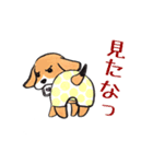 パンツ犬（個別スタンプ：13）