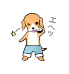 パンツ犬（個別スタンプ：14）