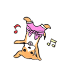 パンツ犬（個別スタンプ：18）