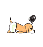 パンツ犬（個別スタンプ：19）