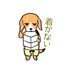 パンツ犬（個別スタンプ：23）