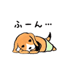 パンツ犬（個別スタンプ：24）