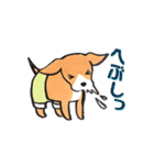 パンツ犬（個別スタンプ：27）