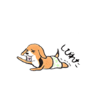 パンツ犬（個別スタンプ：29）