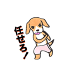 パンツ犬（個別スタンプ：30）