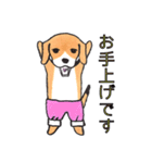 パンツ犬（個別スタンプ：31）