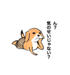 パンツ犬（個別スタンプ：34）
