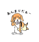 パンツ犬（個別スタンプ：35）